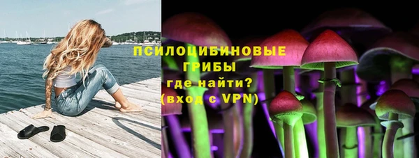 прущий лед Алексин