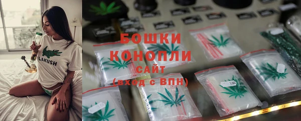 2c-b Елабуга