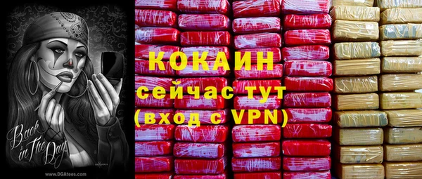 стафф Карпинск