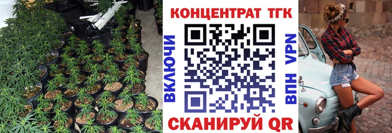 купить   Черемхово  ТГК гашишное масло 